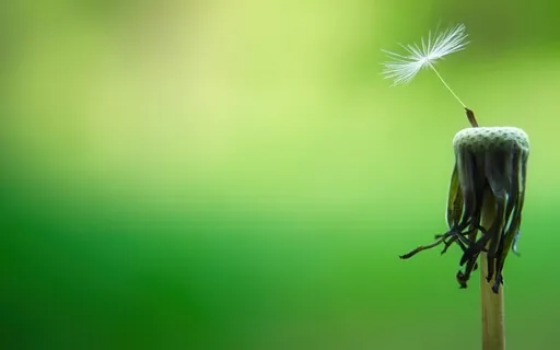 The Daily Dose: Day 21 Of 30