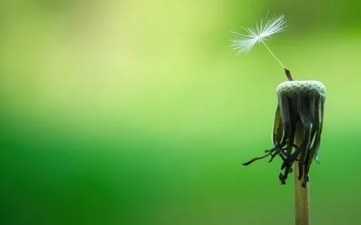 The Daily Dose: Day 24 Of 30