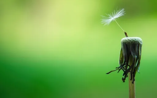 The Daily Dose: Day 25 Of 30