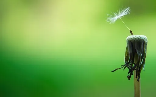 The Daily Dose: Day 26 Of 30