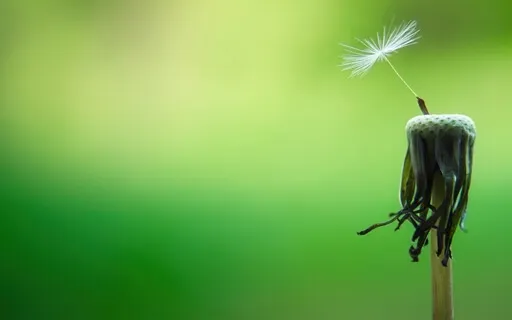 The Daily Dose: Day 28 Of 30