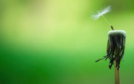 The Daily Dose: Day 29 Of 30