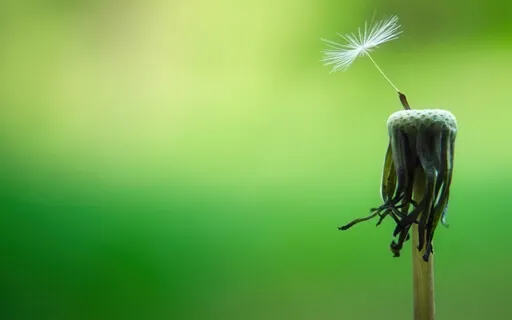 The Daily Dose: Day 3 Of 30