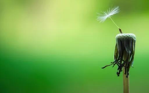 The Daily Dose: Day 30 Of 30