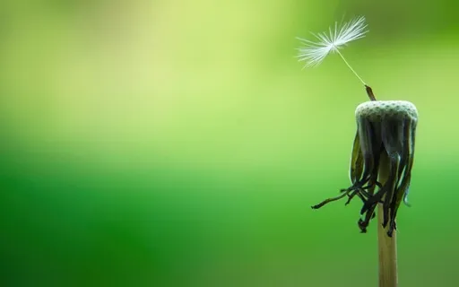 The Daily Dose: Day 4 Of 30