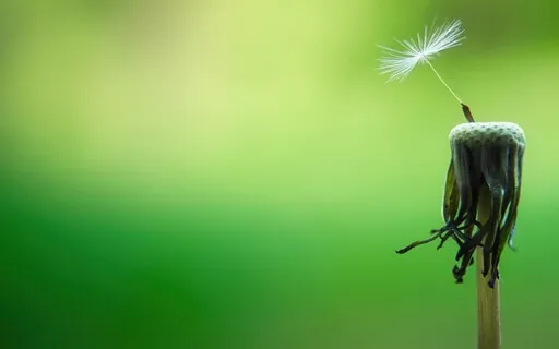 The Daily Dose: Day 5 Of 30