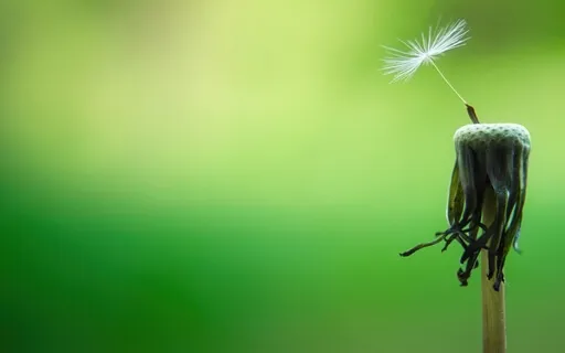 The Daily Dose: Day 6 Of 30