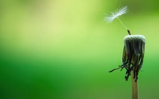 The Daily Dose: Day 9 Of 30