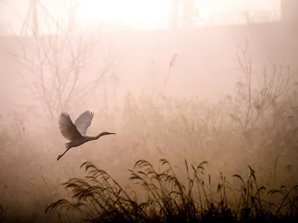 The Daily Stoic Mindful Review