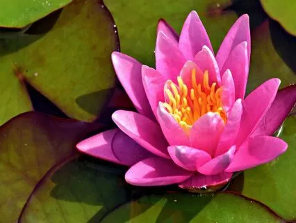 The Dance Between Silence And Speech