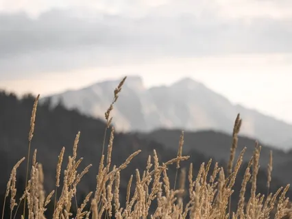 The Dance Of Freedom