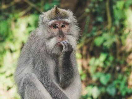 The Dangers Of Delusive Certainty