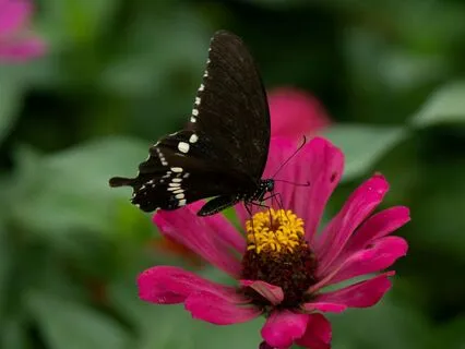 The Dark Night Of The Soul