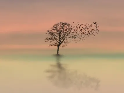 The Dawn | One Of The Most Relaxing Tracks In The World