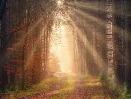 The Dawning Of A New Day & The Cyclical Nature Of Grief