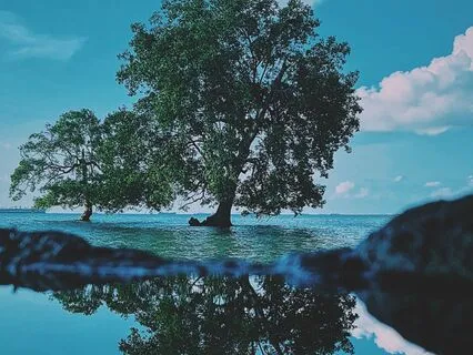 The Day I Met The Devil (And Made A Friend)