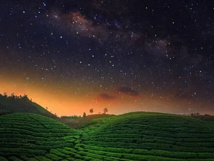 The Day Of Silence In Bali