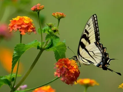 The Day You Let Go | Your Surrender Story