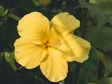 The Day You Were Born 