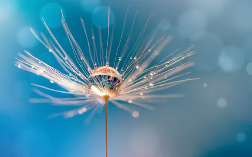 The Death Of Seneca Contemplation