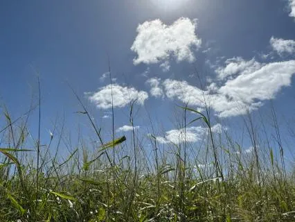 The Deep Blessings Of Forgiveness