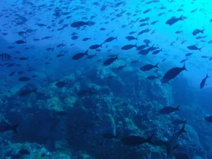 The Deep Current Of Rest