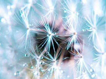 You Are The Unified Field - 20 Min - Meditation And Poetry
