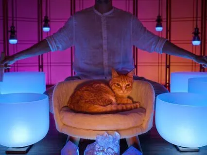 The Deepest Sleep You've Ever Known Sound Bath