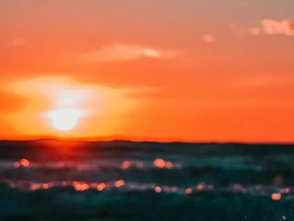 The Delight Of Presence