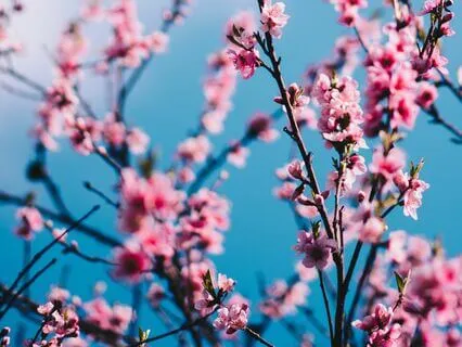 The Depths Of Challenge: Nervous System Regulation