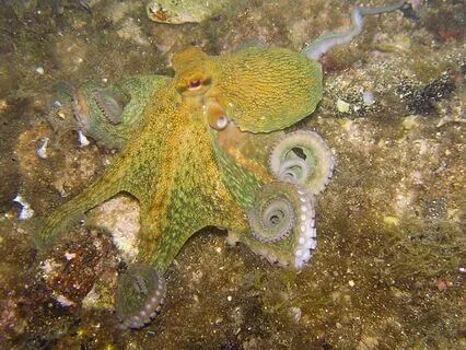 The Depths Of Intuition — Following Inner Currents