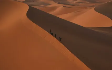 The Desert