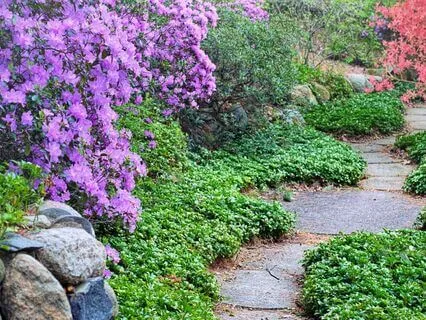 The Destination In All Journeys Is One: Self