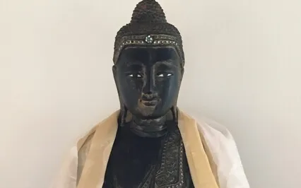 The Dharma Of Alzheimer's & Dementia