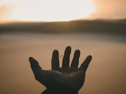 The Dharma Of Insecurity - Robert Brumet