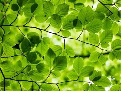 The Dharma Of Money-2