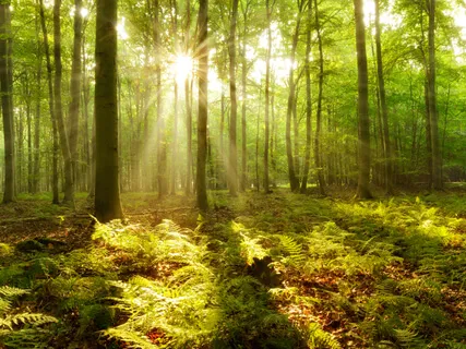 The Difference Between Self-Improvement & Spiritual Transformation