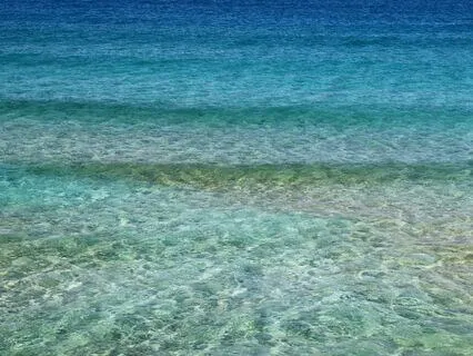 The Direct Experience Of The Breath