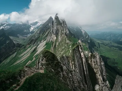 The Divine Intelligence