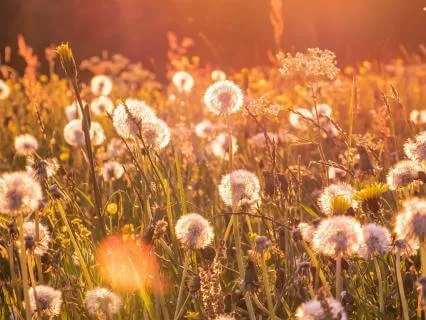The Divine Is Calling You Into Higher Vibrations Today