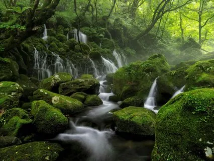 The Divine Spring For Embodying Awakening