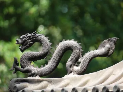 The Dragon's Pearl: A Taoist Bedtime Story