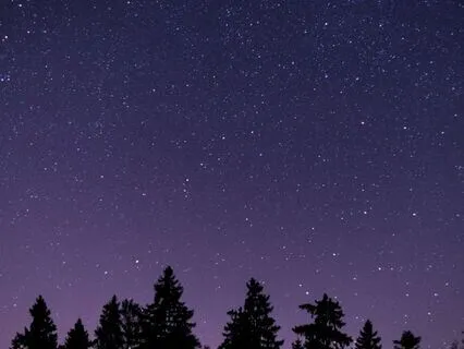 The Dream Garden: Planting Seeds Of Abundance