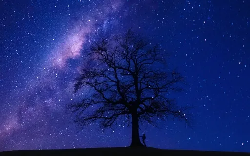 The Dream Tree ~ Meditation For Sleep ~ Shamanic Journey