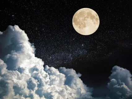 The Dream Weaver - A Cozy Sleep Story