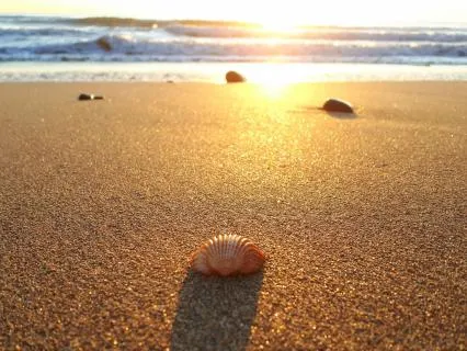 The Dreaming Of The Perfect Beach 8 Hour Track