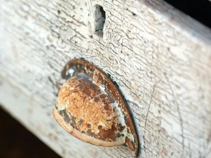 The Dreams In My Drawer