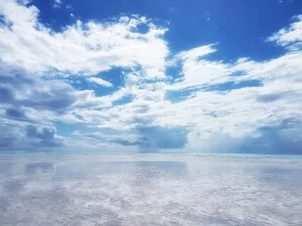 The Dual Nature Of The Diaphragm