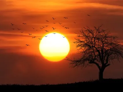 The Ego: Letting Go Of The Parts Which Do Not Serve