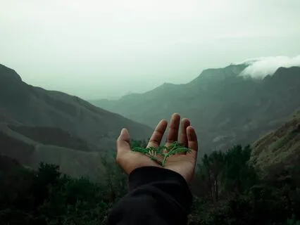 The Element Of Earth: Transformation And Empowerment